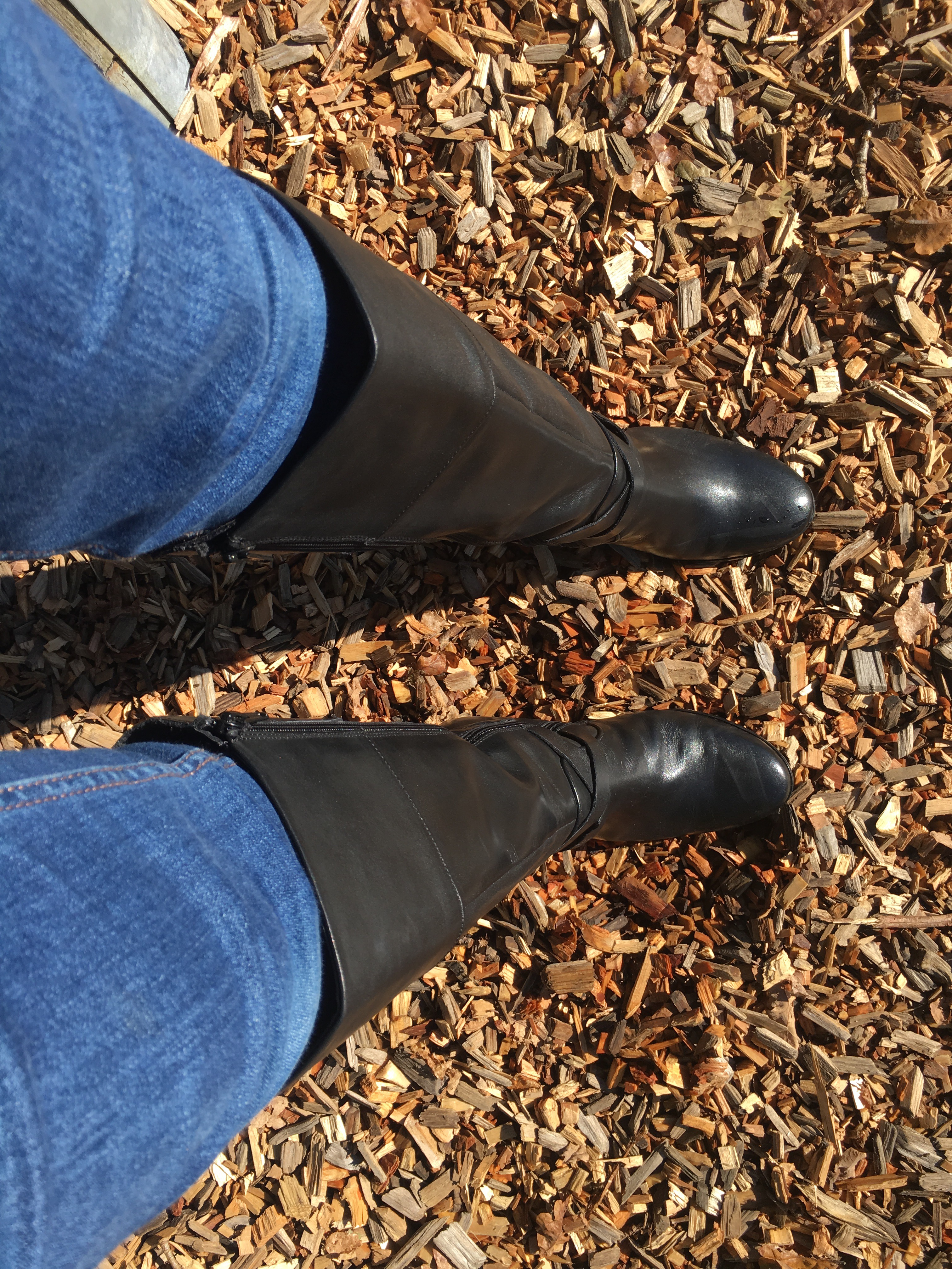 JD Williams Boots