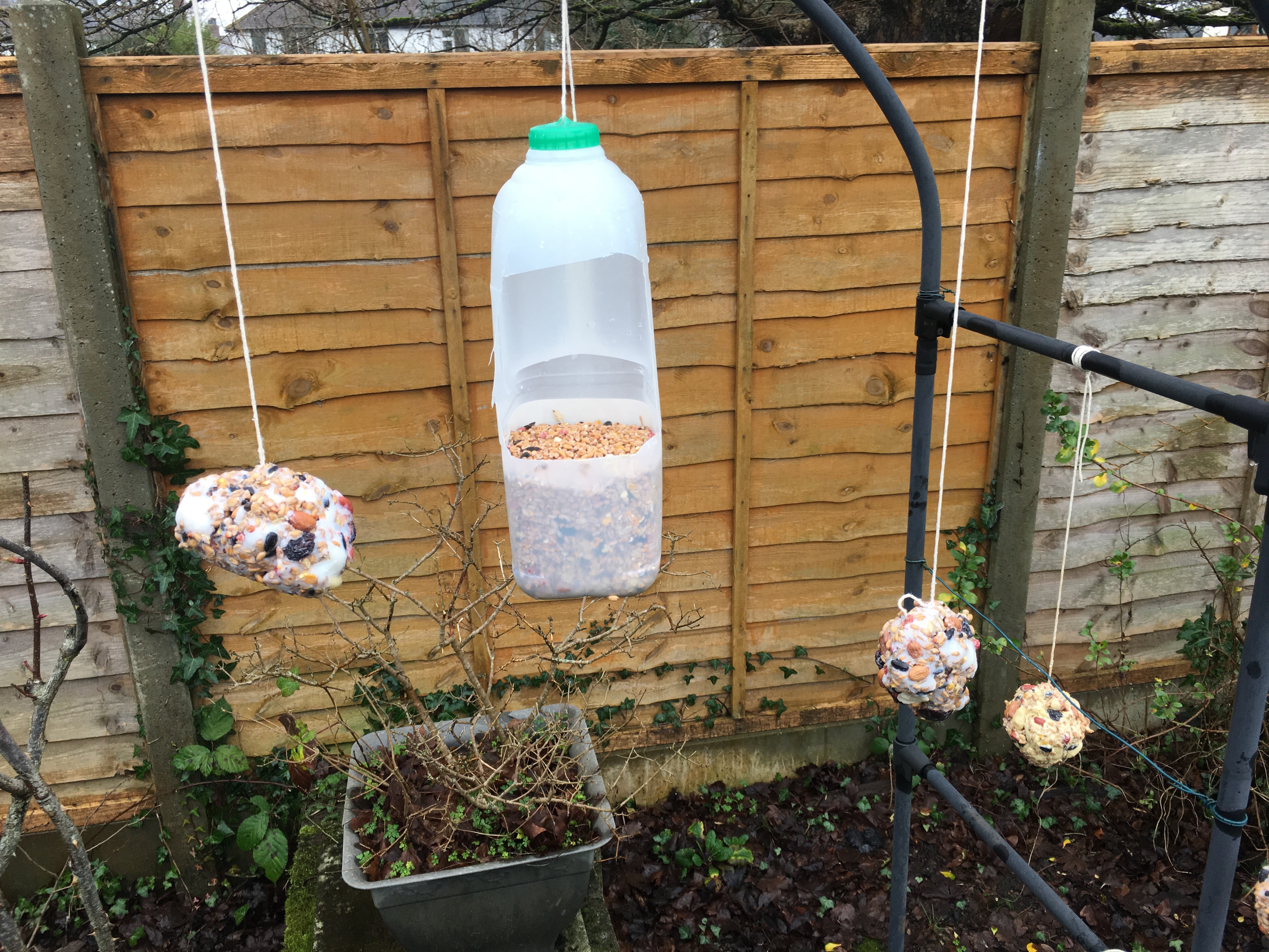 RSPB Bird Feeders